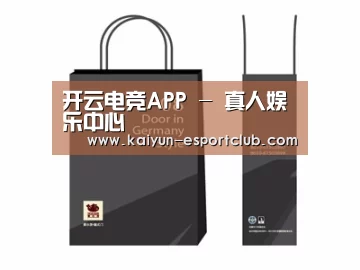 项目名称十四