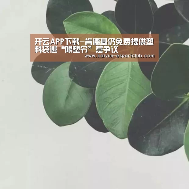 开云APP下载