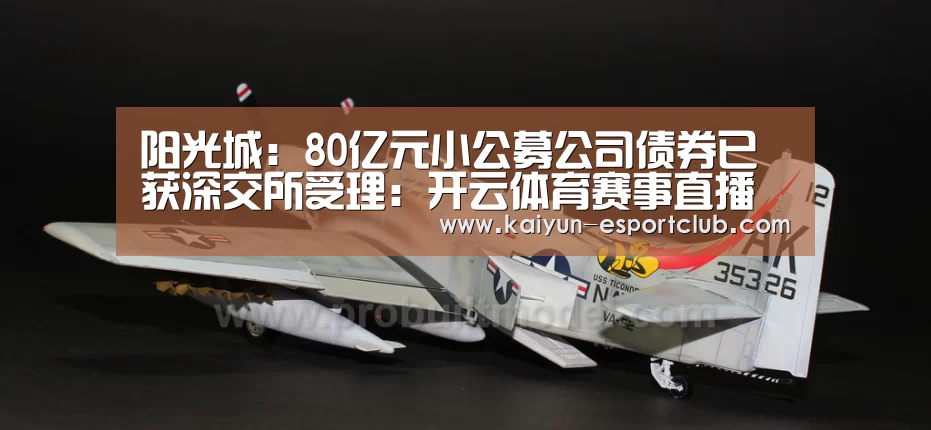 阳光城:80亿元小公募公司债券已获深交所受理:开云体育赛事直播(图3) 开云电竞APP