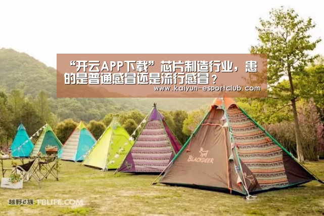 “开云APP下载”芯片制造行业,患的是普通感冒还是流行感冒?(图1) 开云在线娱乐